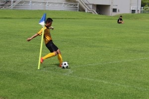 IMG_7016
