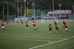 IMG_2365